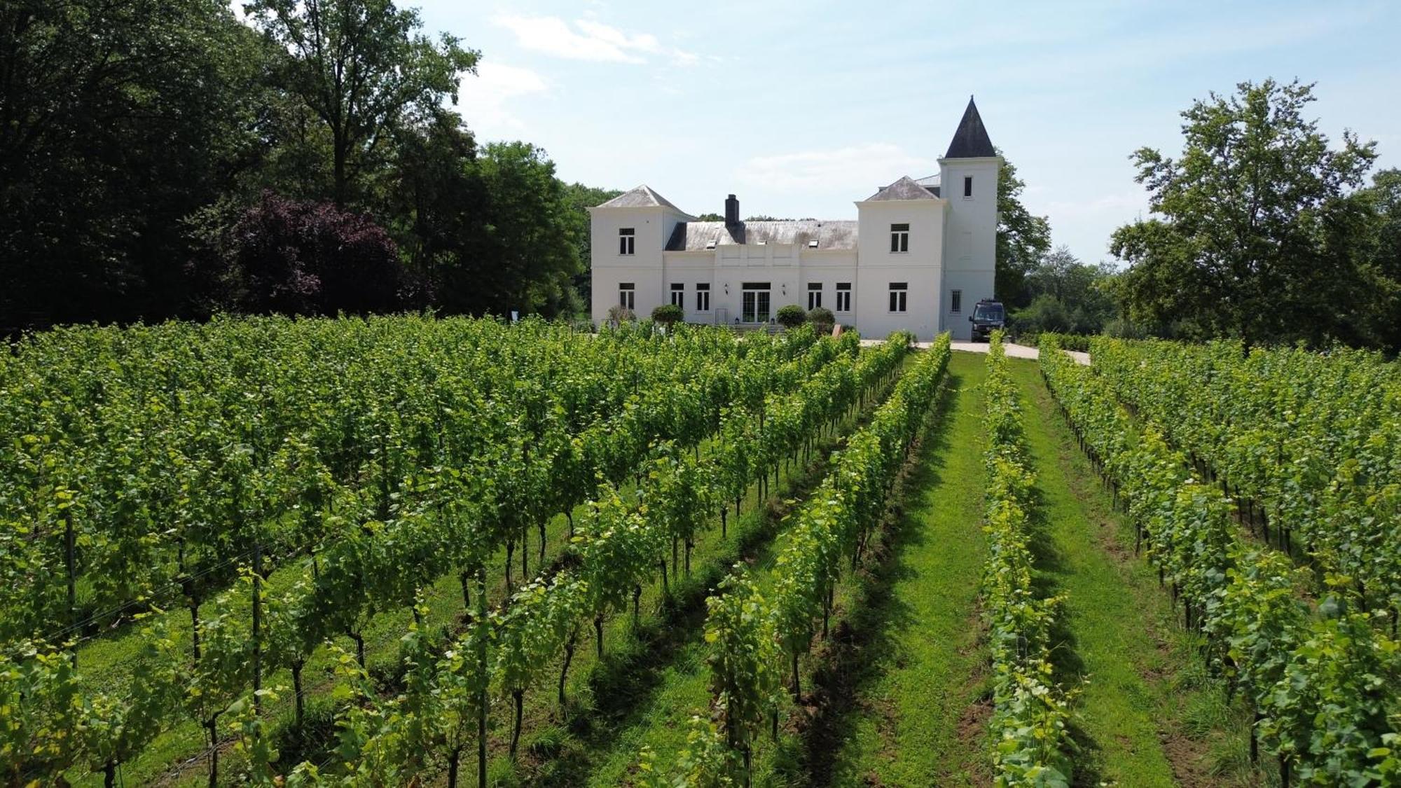 Wijnkasteel Haksberg Vila Tielt Exterior foto
